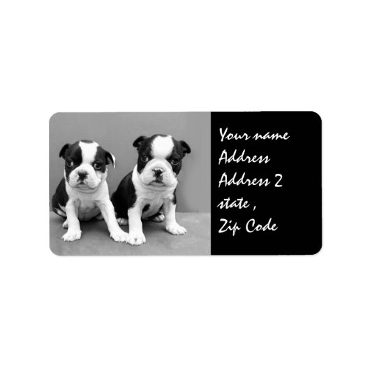 Boston Terrier Welpen - Versandmarke Adressaufkleber (Vorne)