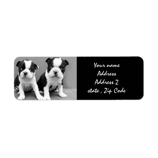 Boston Terrier Welppies Address Labels (Vorne)