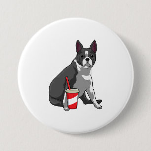 Boston Terrier with Drink Button