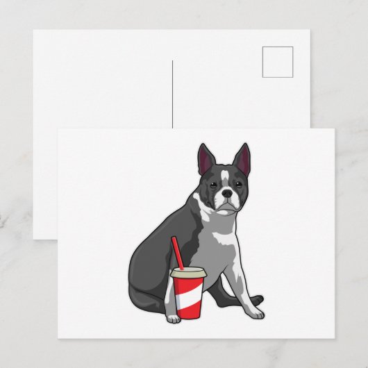 Boston Terrier with Drink Postkarte (Vorne/Hinten)