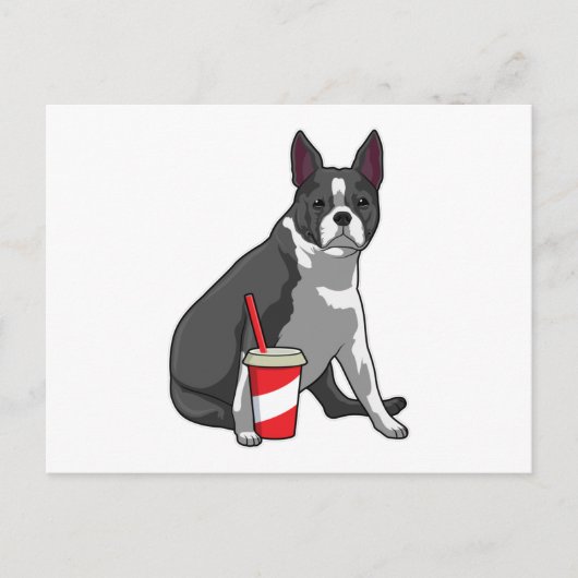 Boston Terrier with Drink Postkarte (Vorderseite)