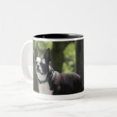 Boston Terrier Zweifarbige Tasse (Vorderseite Links)