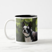Boston Terrier Zweifarbige Tasse (Links)