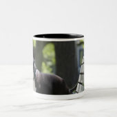 Boston Terrier Zweifarbige Tasse (Mittel)
