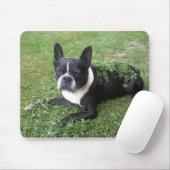 Boston-TerrierMausunterlage Mousepad (Mit Mouse)