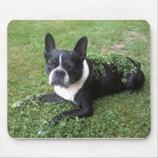 Boston-TerrierMausunterlage Mousepad