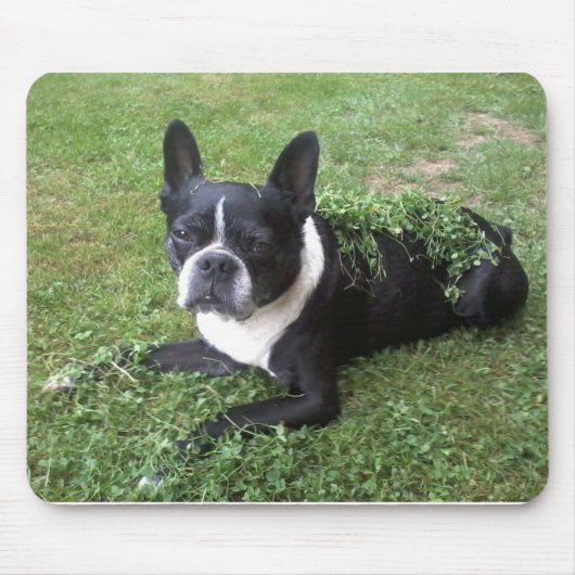 Boston-TerrierMausunterlage Mousepad (Vorne)