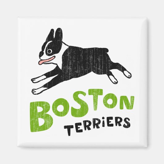 Boston Terriern Magnet (Vorne)