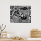 Boston Terriers, 20er Poster (Küche)
