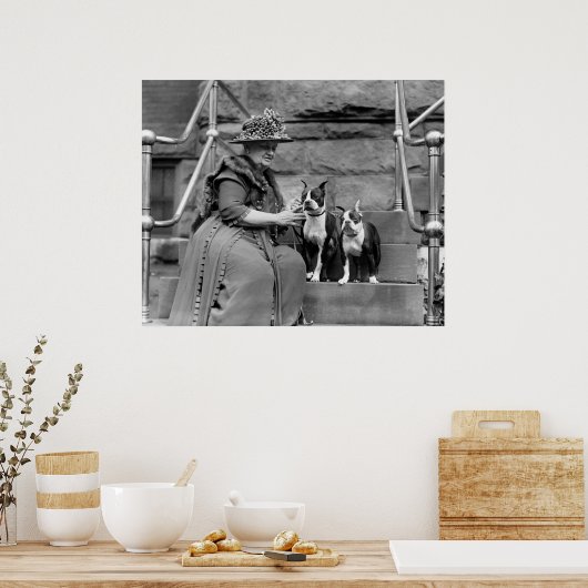 Boston Terriers, 20er Poster (Küche)
