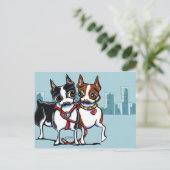 Boston Terriers Leashed Postkarte (Stehend Vorderseite)