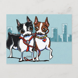 Boston Terriers Leashed Postkarte