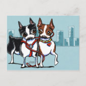 Boston Terriers Leashed Postkarte (Vorderseite)