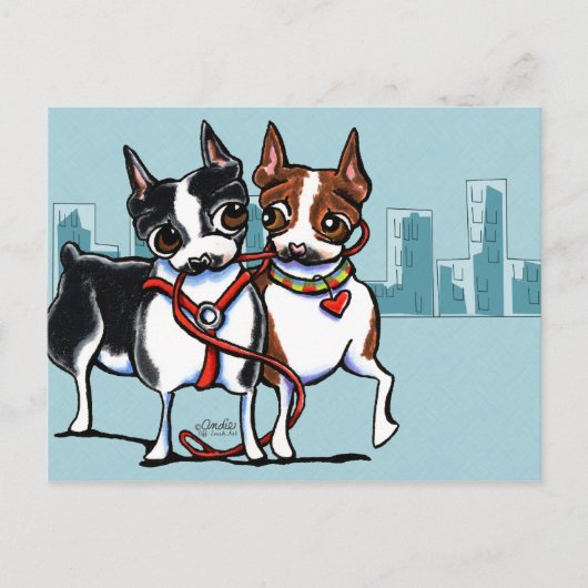 Boston Terriers Leashed Postkarte (Vorderseite)