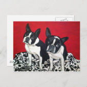 Boston Terriers Postkarte (Vorne/Hinten)