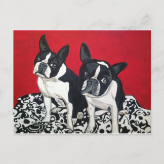 Boston Terriers Postkarte