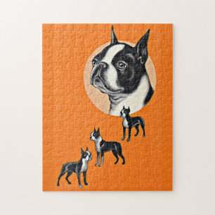 Boston Terriers Puzzle