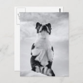 Boston Terrior Praying Postkarte (Vorne/Hinten)