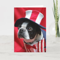Boston Uncle Sam Card