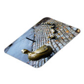 Boston - Wegbereiter für Ducklings Magnet (Linke Seite)