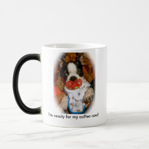 Boston-Welpe mit Binky Tasse