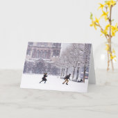 Bostoner Schneeballkarte Karte (Gelbe Blume)