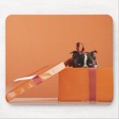 Bostoner Welpe in der Geschenkboxen Mousepad (Vorne)