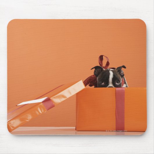 Bostoner Welpe in der Geschenkboxen Mousepad (Vorne)