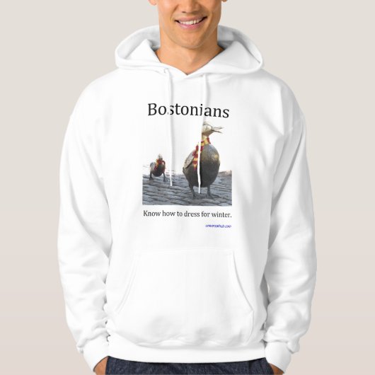 Bostonians können für Winter ankleiden Hoodie (Vorderseite)