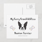 BostonTerrier Postkarte (Vorne/Hinten)