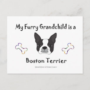 BostonTerrier Postkarte