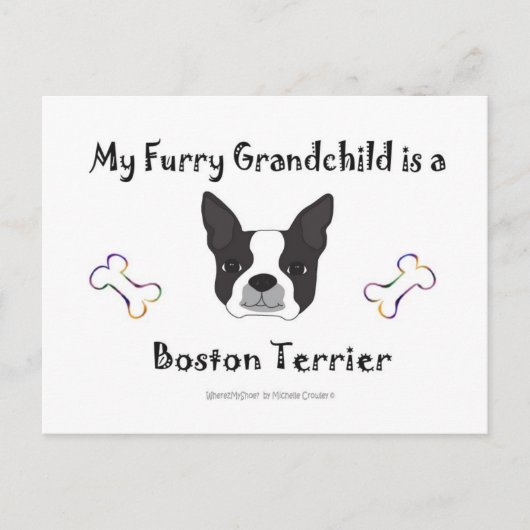 BostonTerrier Postkarte (Vorderseite)