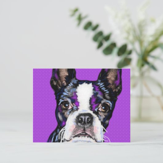 BostonTerrier Postkarte (Stehend Vorderseite)