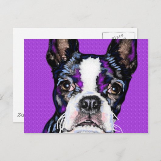 BostonTerrier Postkarte (Vorne/Hinten)