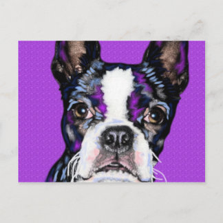 BostonTerrier Postkarte