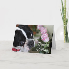 Bostonterrier und -Blumen Karte
