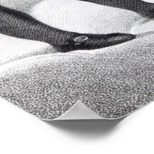 Boswell und der Geist von Samuel Johnson Poster (Ecke)