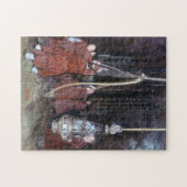 Botafumeiro Puzzle (Horizontal)