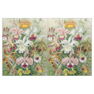 Botancal Orchideen-Blumen BlumenHaeckel Gewebe Stoff