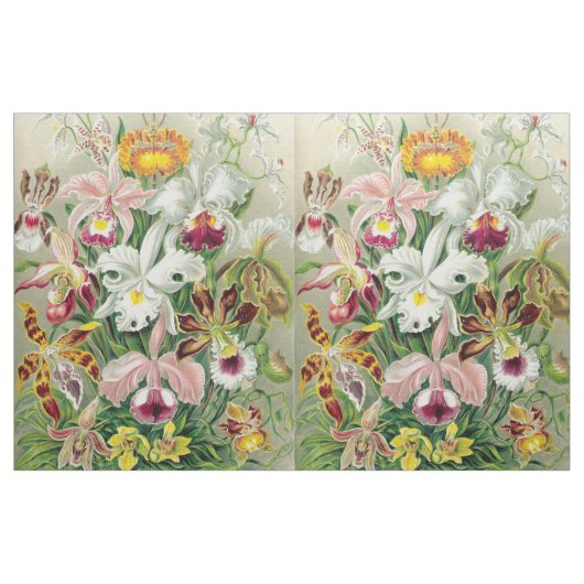 Botancal Orchideen-Blumen BlumenHaeckel Gewebe Stoff (Yard (91,4 cm))