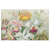 Botancal Orchideen-Blumen BlumenHaeckel Gewebe Stoff (Fat Quarter (45,7 x 55,9 cm))