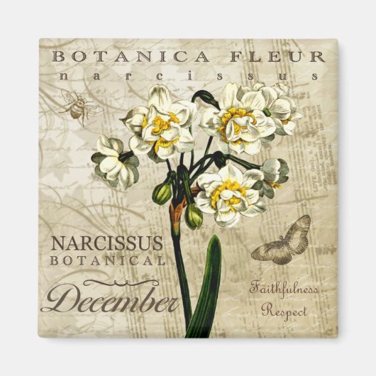 Botanica Dezember Magnet (Vorne)