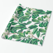 Botanica Geschenkpapier (Ungerollt)