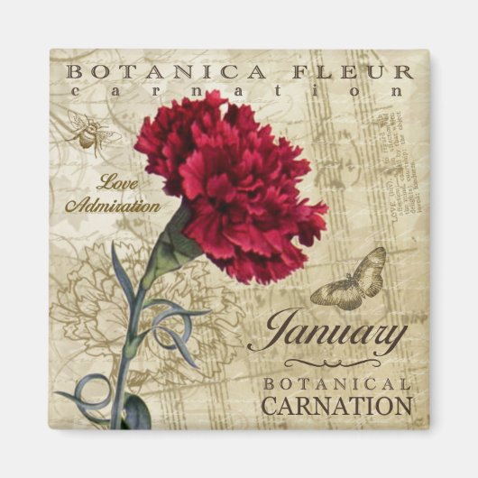 Botanica January Magnet (Vorne)