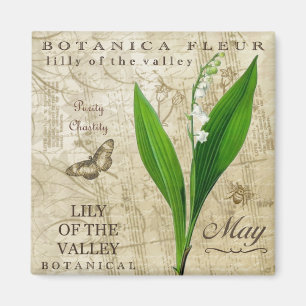 Botanica kann Magnet