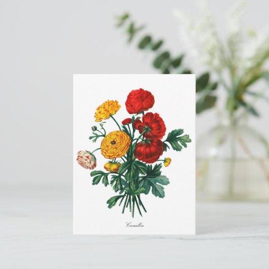 Botanical Camellia Bokeh Postkarte (Stehend Vorderseite)