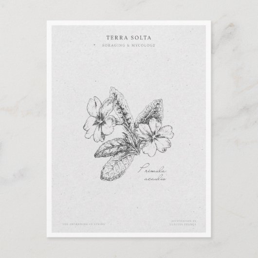 Botanical Illustration 2 'The Awakening of Spring' Postkarte (Vorderseite)