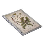 Botanical Illustration Notebook - Dandelion Notizblock (Rechte Seite)