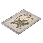 Botanical Illustration Notebook - Dandelion Notizblock (Linke Seite)