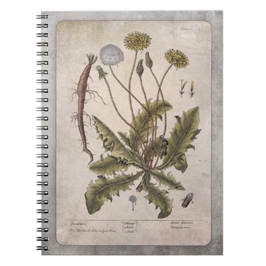 Botanical Illustration Notebook - Dandelion Notizblock (Vorderseite)